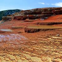 Badab Soort